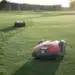 Robot mowers on a golf course