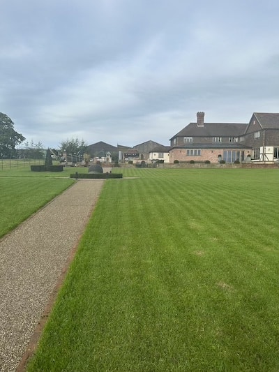 Automatic mower doing lawn stripes