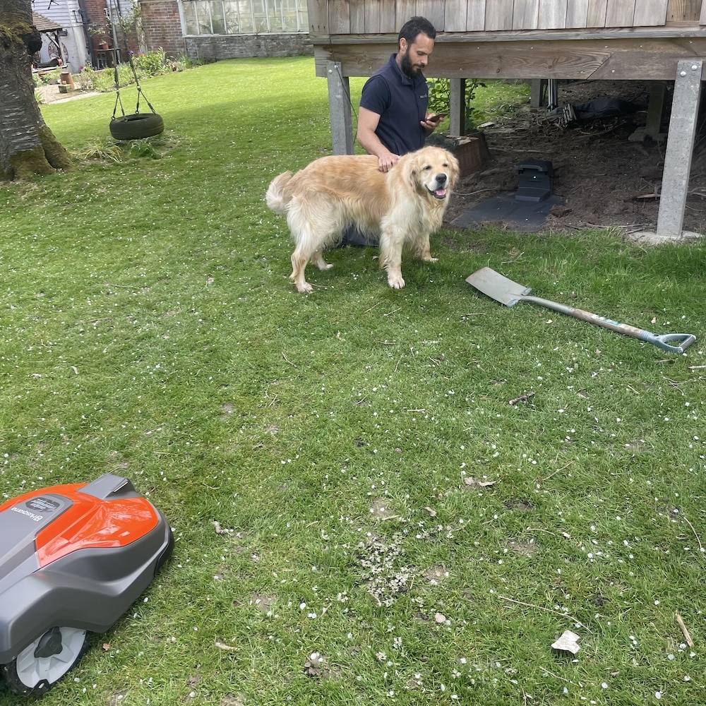 550 epos robot mower with lovely dog