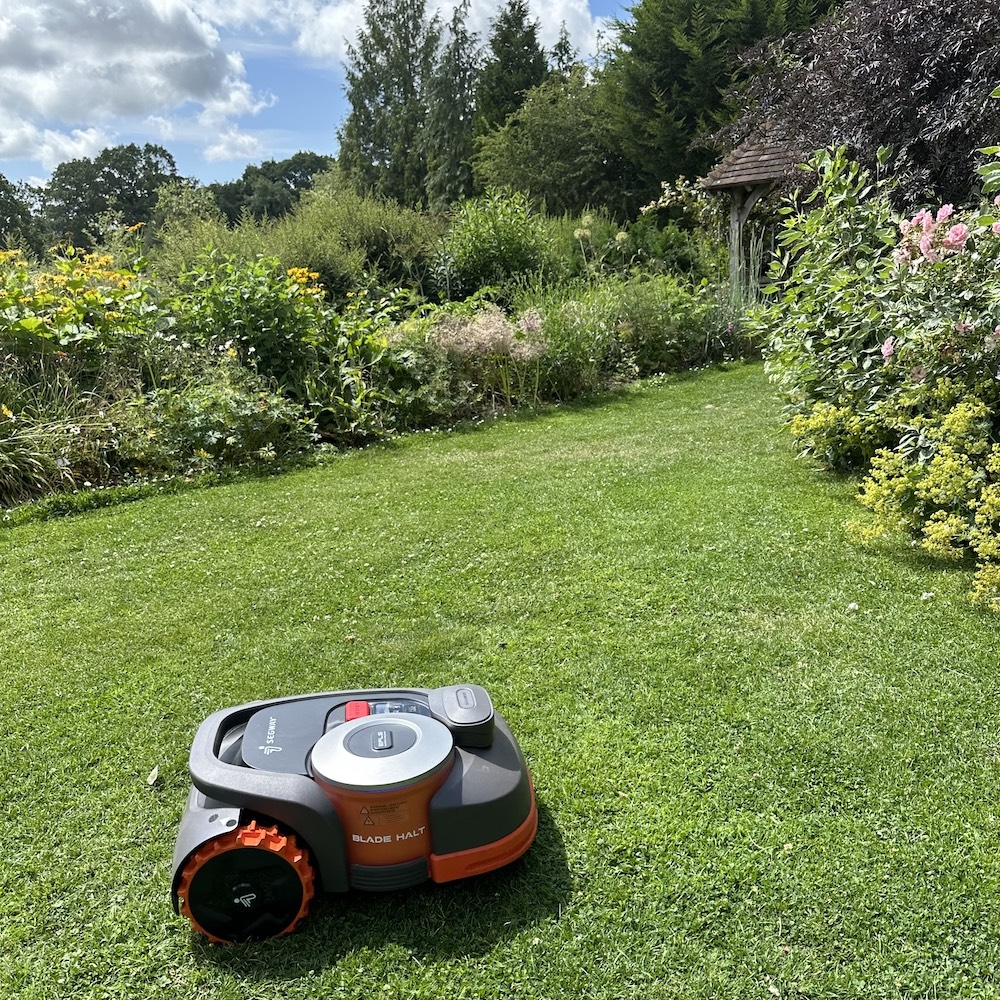 segway robot mower on a lawn